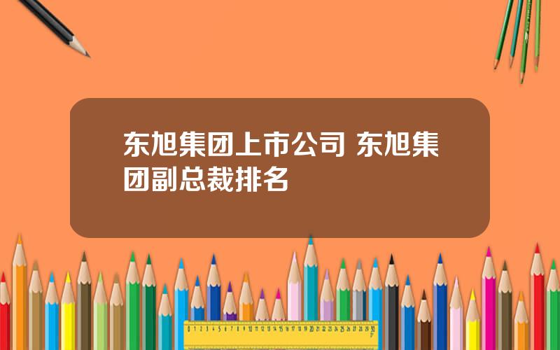 东旭集团上市公司 东旭集团副总裁排名